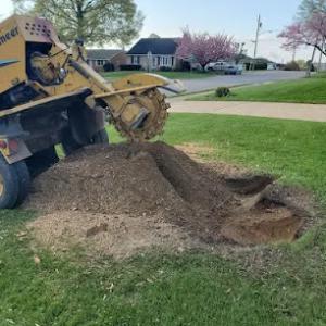 Joels Stump Grinding