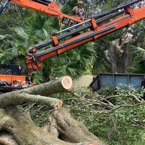 Jimmy Fosters Tree Service