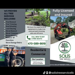 Solis Tree Service