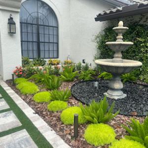 Tropical Oasis Landscaping