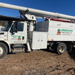 Woodchuck Tree Service
