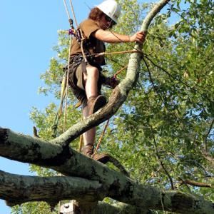 Carolina Outdoor Care