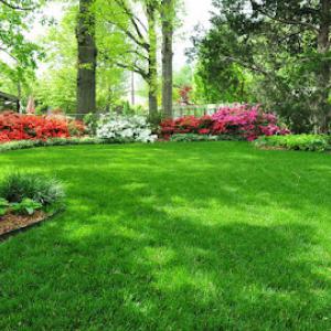Custom Landscaping & Lawn Care
