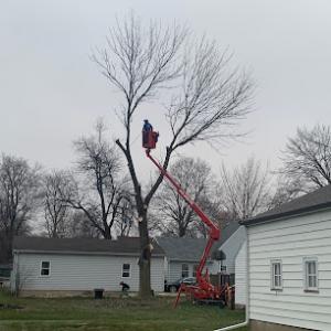 Zehr Tree Service