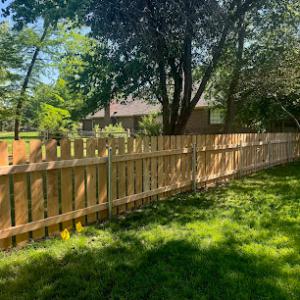 Fowler's Tree & Fence