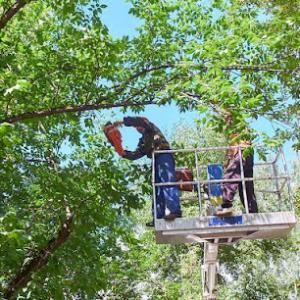 Big Branch Tree Service