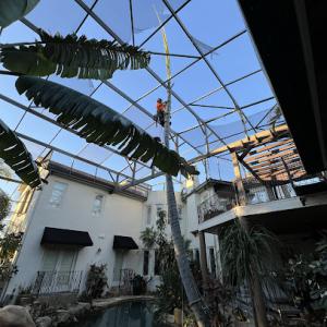 There's a Way Tree Service