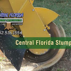 Central Florida Stump Grinding