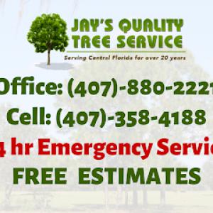 Jay's Quality Tree Service