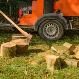 Appalachian Tree Works