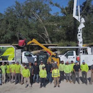 Green Topps Tree Service & Landscaping