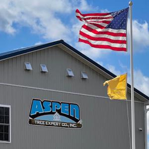 Aspen Tree Expert