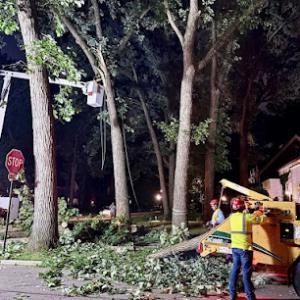 Branching Out Tree Service