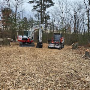 Barrett Brush Removal & Land Clearing