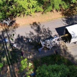 Campbell’s Tree Experts