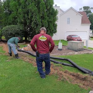 Gargallo's landscaping