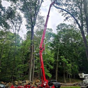 KD Tree Service Rochester NY