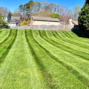 Tri-Star Lawn Service