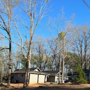 Advance Tree Removal & Land Management