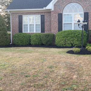 Down & Dirty Landscaping