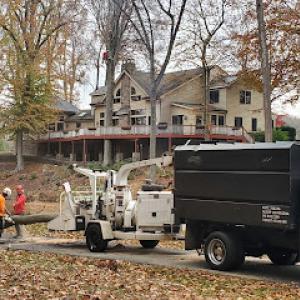 Forest Glenn Arborists