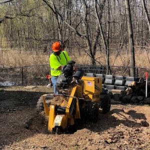 Pappy's Stump Grinding
