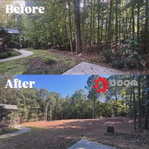 Boom Brush Control Land Management