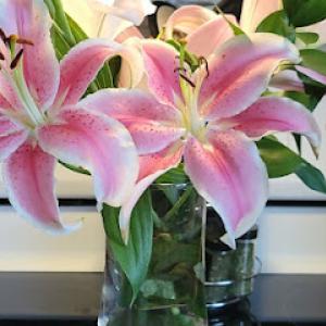 Mannys Trees & Multi Services