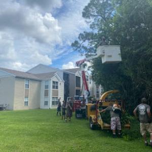 Trinity Trees of PSL