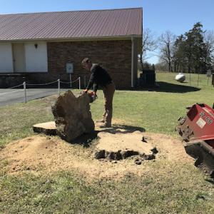 South Sebatian Stump Removal