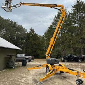 David & family tree service