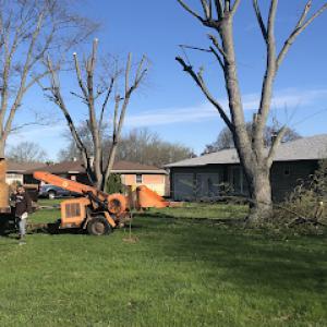 Airbourne Tree Service