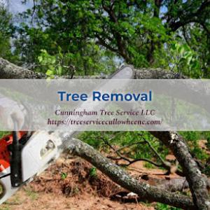 Cunningham Tree Service