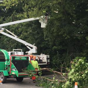 Blue Ridge Tree Experts