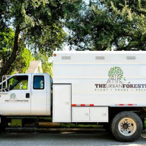 The Urban Foresters