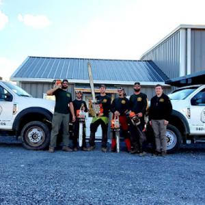 Timber Works Tree Care