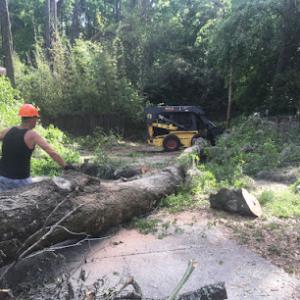 Collins Tree Service