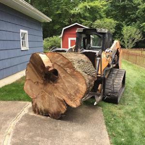 Carlson Tree Service