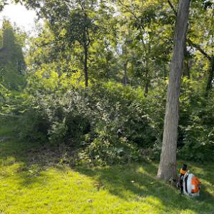 Suburban Tree Care