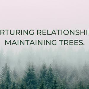 Veteran Arborists Raleigh