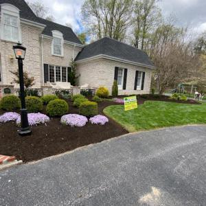 Amigos Lawn Care & Tree Service