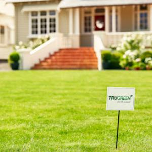TruGreen Gillette