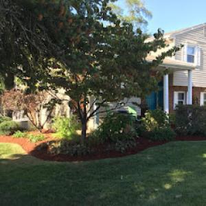 Greenview Lawn Service