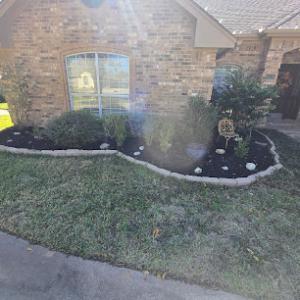 BWB Tree & landscapes