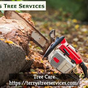 Terry's Tree Services