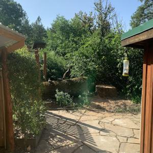 Bear Creek Forest Management & Tree Service