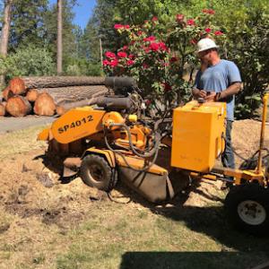 Stump Grinding