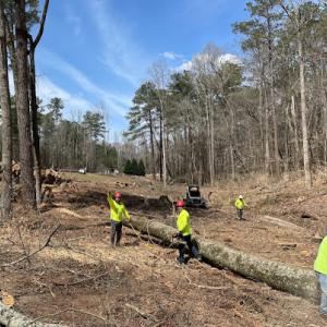 Eric's Tree Services