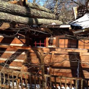 Little A's Tree Service