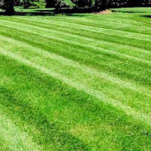 Elevated Landscape & Lawncare